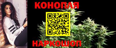 гидра Будённовск