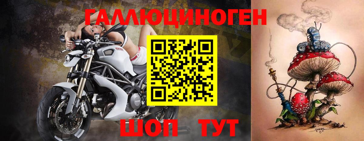 Буйнакск  Галлюциногенные грибы GOLDEN TEACHER  Вход с VPN  Псилоцибиновые грибы Psilocybe 