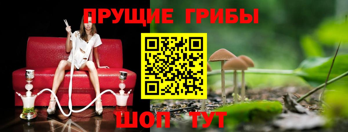Галлюциногенные грибы Magic Shrooms Буйнакск